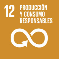 SDG 10