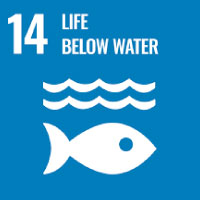 United Nations Sustainable Development Goal Icon