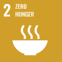 United Nations Sustainable Development Goal Icon