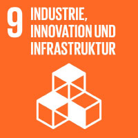 SDG 10